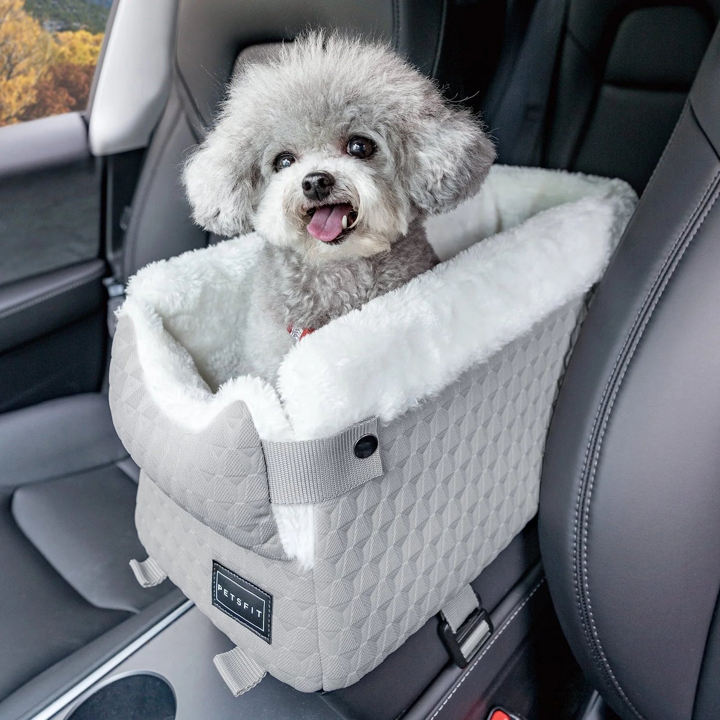 Dog Car Seats for Small Dogs,Washable Cushion, Small Dog Car Seat with Upgraded Safety Tethers, Center Console Dog Car Seat (Light Grey)