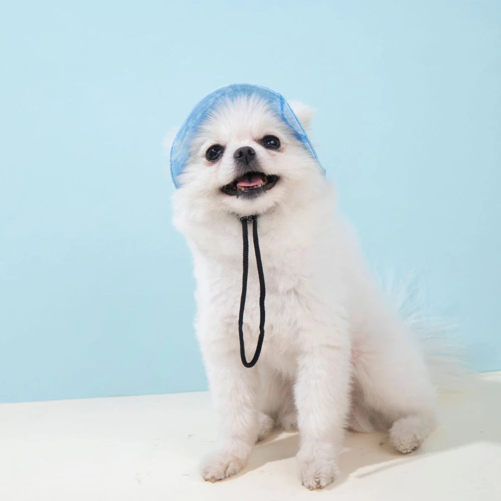 Pet Hat with Ear Holes Summer Outdoor Cute Dog Cat Hat Colorful Adjustable Baseball Cap for Small Medium Dogs Cats Pet Supplies