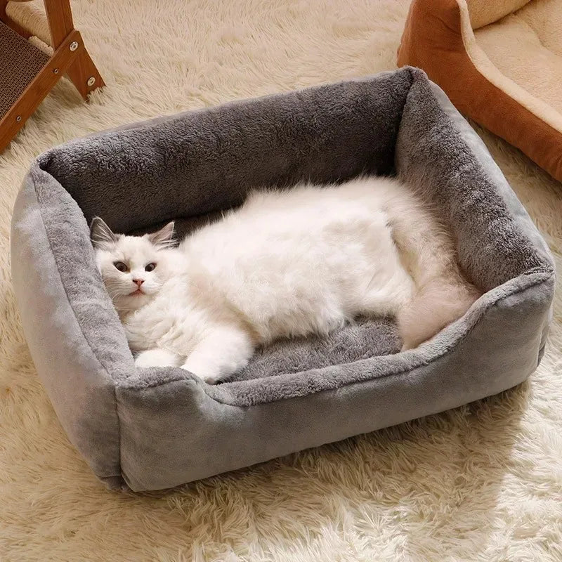 Beds for Dogs & Cats
