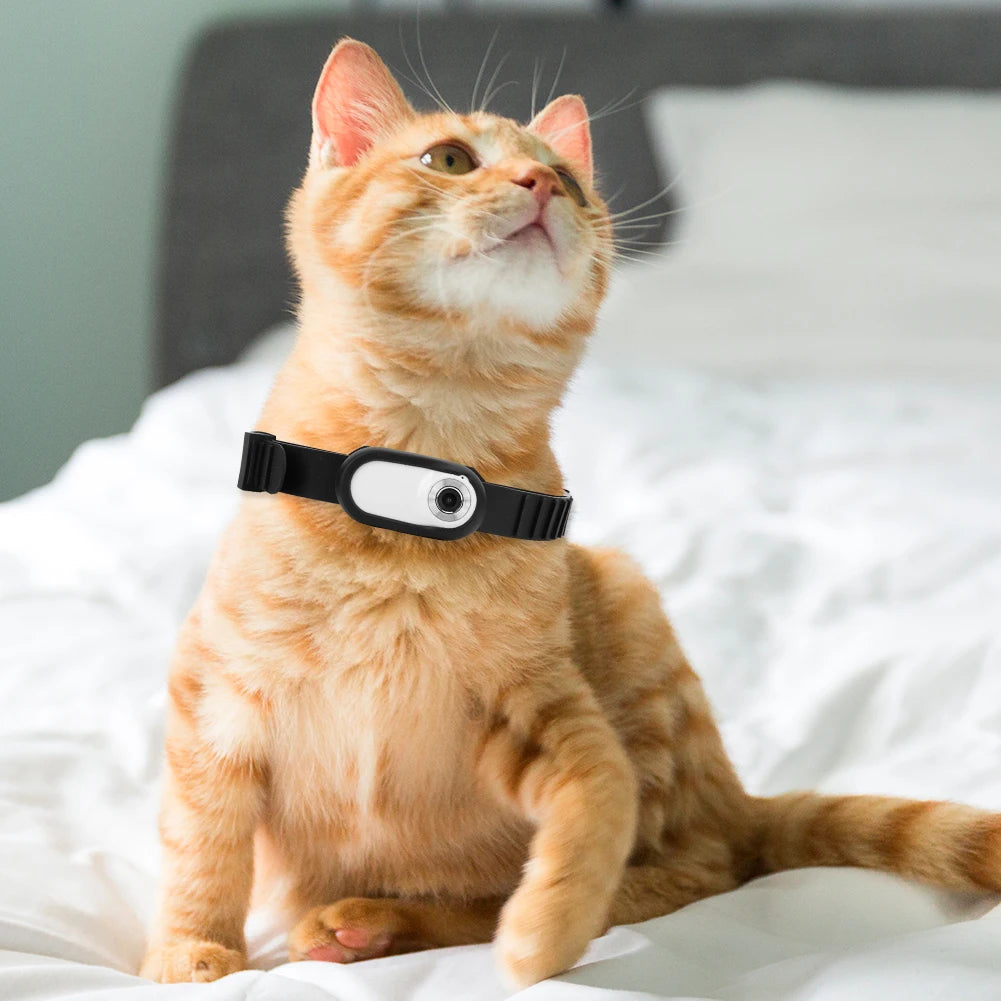 HD 1080P Wireless Collar Camera No WiFi Needed Dog Cat Pet Camera Collar Mini Body Cam Video Records For Cats Dogs Birthday Gift