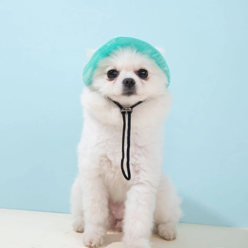 Pet Hat with Ear Holes Summer Outdoor Cute Dog Cat Hat Colorful Adjustable Baseball Cap for Small Medium Dogs Cats Pet Supplies