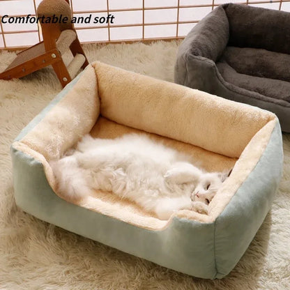 Beds for Dogs & Cats