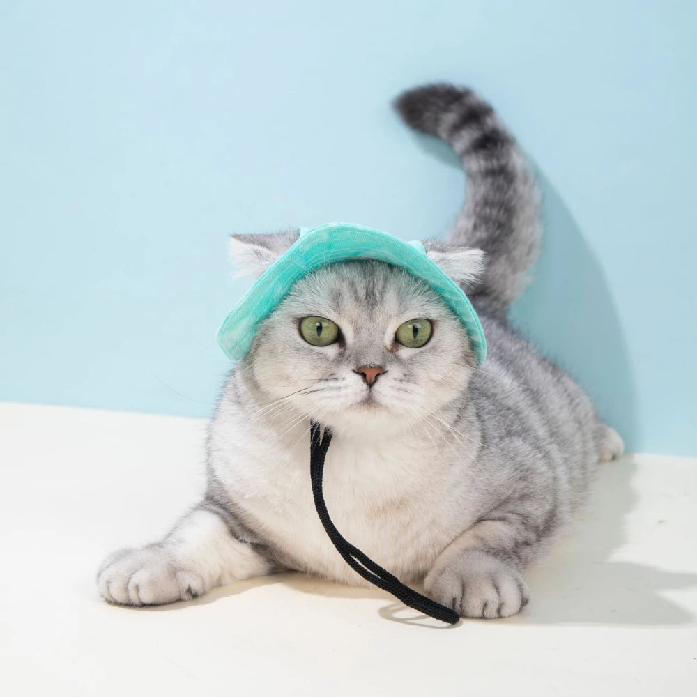 Pet Hat with Ear Holes Summer Outdoor Cute Dog Cat Hat Colorful Adjustable Baseball Cap for Small Medium Dogs Cats Pet Supplies