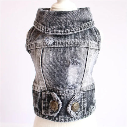 Thin pet dog coat Cool Dog Jeans Jacket for small medium dogs fashion Puppy Clothes Dog accessories